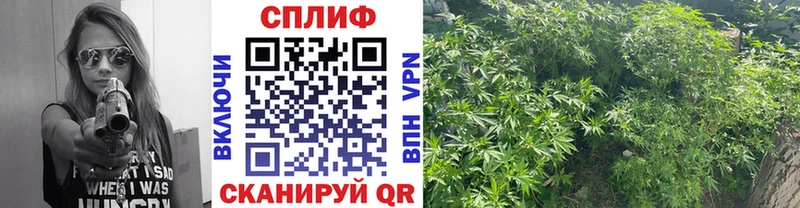 Шишки марихуана тримм где найти наркотики Данков